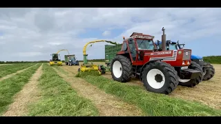 Mogeely Vintage Silage 2023