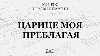 Царице Моя Преблагая. Бас.