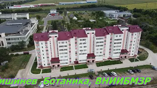 Кишинев, Ботаника, ВНИИБМЗР