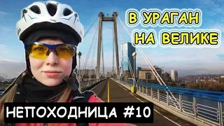 ПОПАЛА В УРАГАН НА ВЕЛИКЕ. ДИКИЕ ЗВЕРИ СЪЕЛИ МОЮ ЕДУ. СЕЗОН ОТКРЫТ. НЕПОХОДНИЦА.