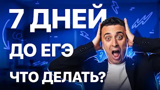 Что делать ЗА НЕДЕЛЮ до ЕГЭ по физике? | Саня Эбонит