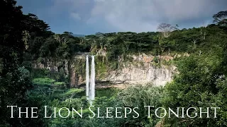 The Lion Sleeps Tonight (Epic Version) - A HERO FOR THE WORLD