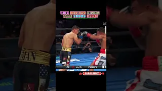 Roman  VS.  Espinoza | BOXING HIGHLIGHTS #boxing #sports #combat #action #fight
