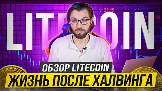 Разбор проекта, Litecoin после Халвинга!