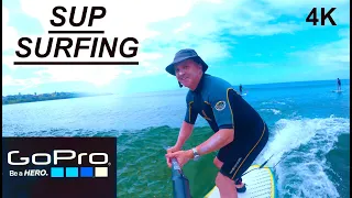 SUP SURFING - BIG FUN ON SMALL WAVES. 4K HD Cinematic Video.