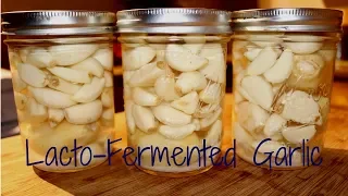 Fermenting Garlic