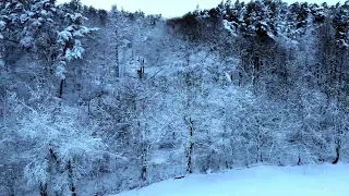 Winterwonderland Eifel  footage dji mini 2