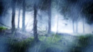 RAIN IN THE WOODS SLEEP SOUNDS | Nature's White Noise For Relaxation, Studying or Sleep | 10 Hours