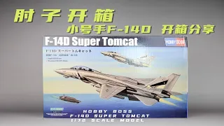 F-14D”雄猫“战斗机拼装模型 开箱分享