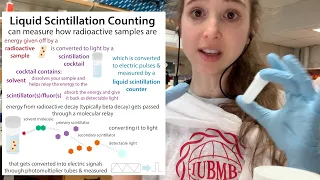 Liquid Scintillation Counting - a scintillating look inside of a way to measure radioactive decay!