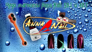 Сотвори чудо это так просто!  Магниты Anna Nail 5в1 и 4в1