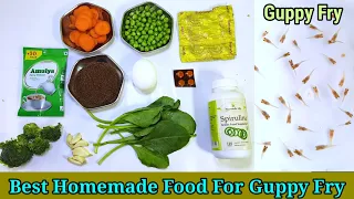 Homemade Food For Guppy Fry | Best Guppy Fish Fry Food