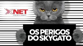 O PERIGO DO SKY GATO!