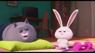 Hindi Trailer | Secret Life of Pets 2 | Universal Pictures India