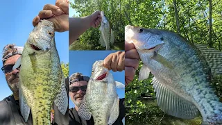 Finding Fish in the Creek and then Open Water. #fishing #fish #crappie #bass