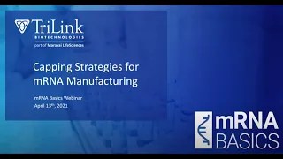 mRNA Basics  Capping Strategies for mRNA Manufacturing