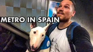 Bringing your DOG to the METRO in SPAIN