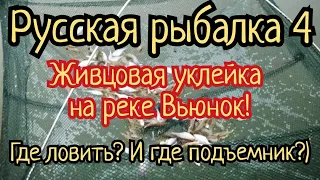 РР4. Где клюет живцовая уклейка на реке Вьюнок!? А где подъемник для ловли живца?)