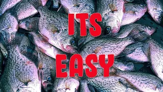 FALL Crappie Not BITING? WATCH THIS!!