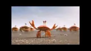 Teamwork   Crabs