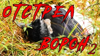 ОХОТА на ВОРОН.МИНУС ТРИДЦАТЬ ...