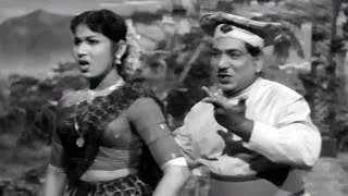 Vimala Songs - Takkari Daana - NTR, Savithri, Relangi - HD