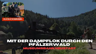 Mit der Dampflok durch den Pfälzerwald 🚂 Das Kuckucksbähnel - Museumsbahn | Pfälzerwald