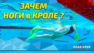 Why does a swimmer need legs? Crawl on the shelves from Yuri Saramutin.