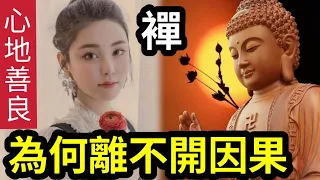 #佛禪 原因曝光！蔡天鳳「心地善良」為何如此下場？「行善積福」我們也離不開因果？基督徒「批評他人時」你知道「耶穌在聖經」消失的日子，去了那裡嗎？小恩養貴人，大恩養仇人。不是上帝安排的 (shorts)