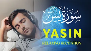 Surah Yasin Full Recitation with English Translation, Сура Ясин , سورة ياسين , Quran yaseen merdu
