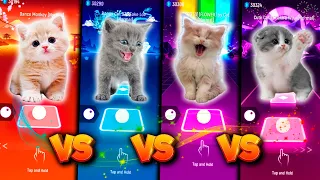 CUTE CATS DANCE MONKEY VS BTS FAKE LOVE VS BLACKPINK JISOO FLOWER VS SHAKIRA WAKA WAKA & TILES HOP