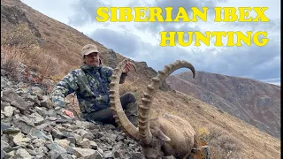 Siberian ibex hunting in Kazakhstan - 2022