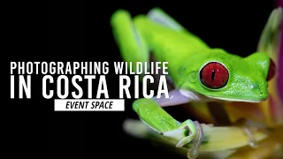 Wildlife Photography in Costa Rica | B&H Event Space