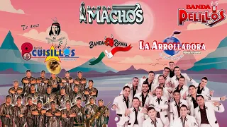 Viejitas De La Banda Para Bailar Movidas Mix 2023 - La Arrolladora, Banda Cuisillos, Banda Machos