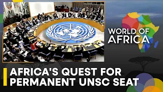 After G20, Africa now eyes UNSC | World of Africa