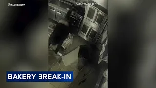 Would-be burglar caught on camera falling through ceiling while breaking into Chicago bakery