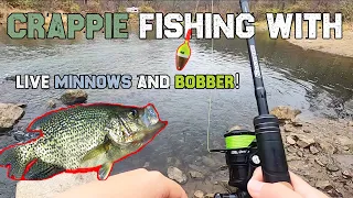 Crappie Fishing With LIVE MINNOWS And A BOBBER!
