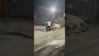 Rodando a la jabonera de la Hermandad de salida en Benitatchell (Alicante)