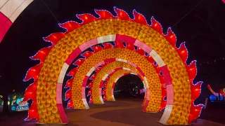 Louisville Zoo AWESOME Lantern Festival of Lights 2022| Wild Lights for the whole family to enjoy!