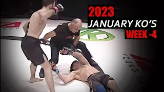 MMA & Boxing Knockouts I January 2023 Week 4
