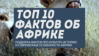 10 фактов об Африке: презентация интересных мест и истории континента