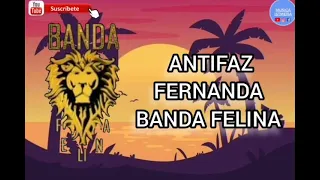 BANDA FELINA | ANTIFAZ / FERNANDA | MÚSICA ISTMEÑA