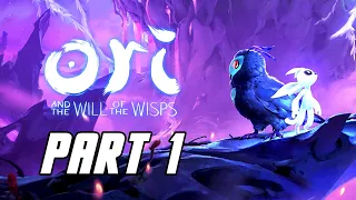 Ori and the Will of the Wisps - Gameplay Walkthrough Part 1 (No Commentary, SWITCH)