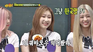 엉터리 중국어(?) 구사하는 채령(Chaeryeong) ＂니 꿔바로우→ 먹어봤나?↗＂ 아는 형님(Knowing bros) 188회