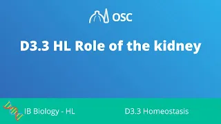 D3.3 HL Role of the Kidney [IB Biology HL]
