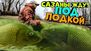 ОНИ ЖДАЛИ МЕНЯ! удачная рыбалка на сазана карпа на боковой кивок зимой с лодки