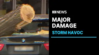 Thousands of Victorians still without power after massive storms smash state's south-east | ABC News