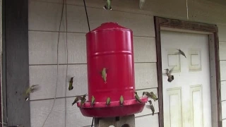 DIY 5 Gallon Hummingbird Feeder