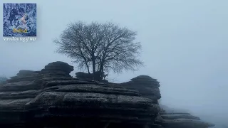 AMIENSUS - Vermillion Fog of War (Official Video)