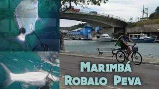 CABO FRIO CIDADE DA PESCA SUB - MARIMBÁ ROBALO PEVA - SPEARFISHING BRAZIL 2022 - PESCARIA NA ESPUMA